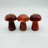 4Types Mushroom Lepidolite & Caribbean Carnelian Wholesale -Wholesale Crystals
