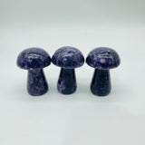 4Types Mushroom Lepidolite & Caribbean Carnelian Wholesale -Wholesale Crystals