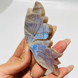 5 Pairs Butterfly Wing Carving With Stand Morocco Agate Moonstone - Wholesale Crystals