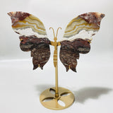 5 Pairs Butterfly Wing Carving With Stand Morocco Agate Moonstone - Wholesale Crystals