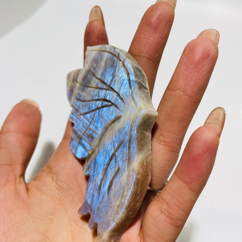 5 Pairs Butterfly Wing Carving With Stand Morocco Agate Moonstone - Wholesale Crystals
