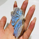 5 Pairs Butterfly Wing Carving With Stand Morocco Agate Moonstone - Wholesale Crystals