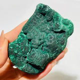 5 Pieces Beautiful High Quality Raw Malachite Specimen -Wholesale Crystals