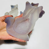 5 Pieces Geode Agate Druzy Cat Closeout -Wholesale Crystals