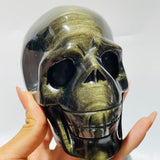 5 Pieces High Quality Gold Sheen Obsidian Skull Carving -Wholesale Crystals