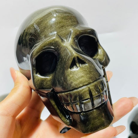 5 Pieces High Quality Gold Sheen Obsidian Skull Carving -Wholesale Crystals