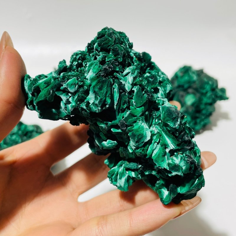 5 Pieces High Quality Raw Malachite Specimen -Wholesale Crystals