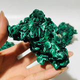 5 Pieces High Quality Raw Malachite Specimen -Wholesale Crystals