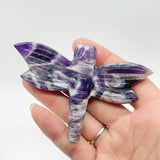5 Types Dragonfly Crystal Carving Wholesale Caribbean Calcite Rose Quartz -Wholesale Crystals