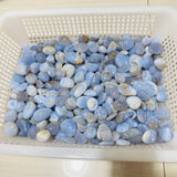 5.12kg Blue Lace Agate Tumbled -Wholesale Crystals