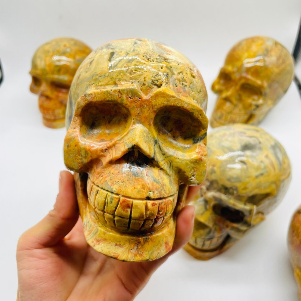 6 Pieces Crazy Agate Large Skull Carving -Wholesale Crystals