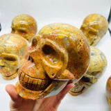 6 Pieces Crazy Agate Large Skull Carving -Wholesale Crystals