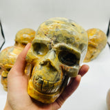 6 Pieces Crazy Agate Large Skull Carving -Wholesale Crystals