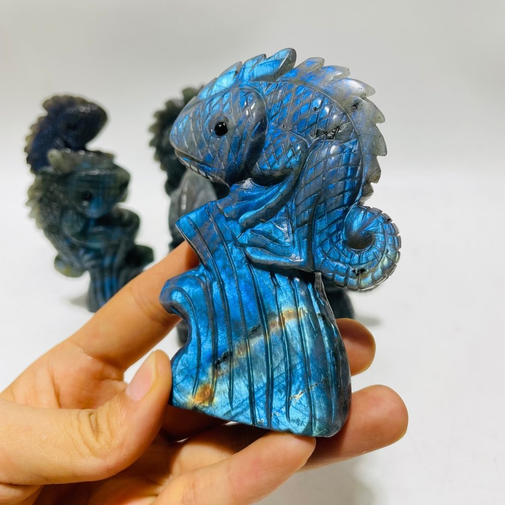 6 Pieces High Quality Labradorite Lizard Chameleon Carving -Wholesale Crystals