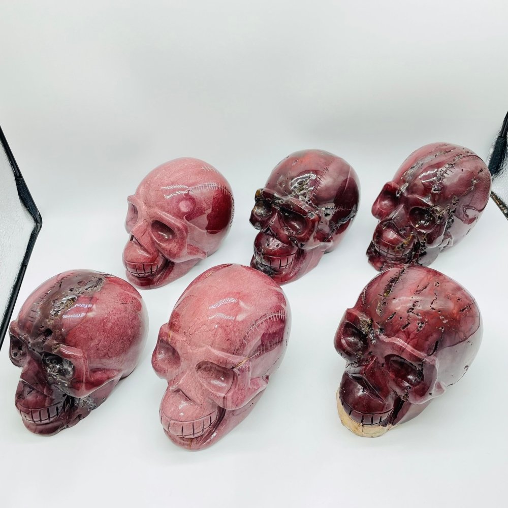 6 Pieces Large Petrified Wood Skull Carving -Wholesale Crystals
