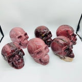 6 Pieces Large Petrified Wood Skull Carving -Wholesale Crystals