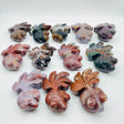 12 Pieces Ocean Jasper GoldFish Carving -Wholesale Crystals