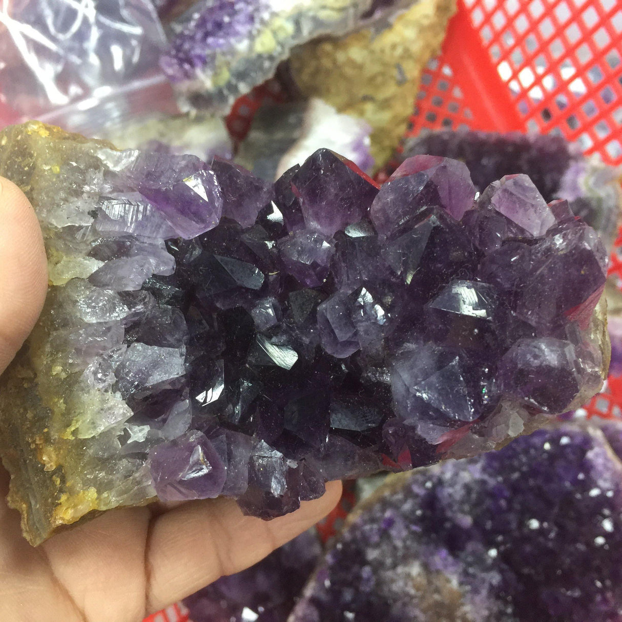 Natural rough large teeth amethyst cluster specimen -Wholesale Crystals