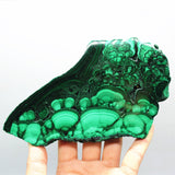 Polished malachite slab -Wholesale Crystals