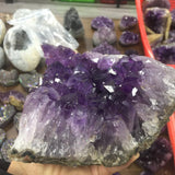 Natural rough large teeth amethyst cluster specimen -Wholesale Crystals