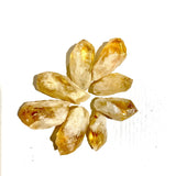 Heat treatment Raw Citrine -Wholesale Crystals