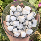 Howlite Tumbled -Wholesale Crystals