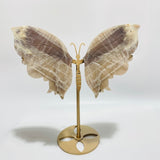 Blue Moonstone Mixed Sunstone Butterfly Carving With Stand -Wholesale Crystals