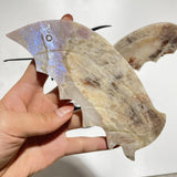 Blue Moonstone Mixed Sunstone Dragon Carving With Stand -Wholesale Crystals