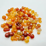 Carnelian Mini Mushroom Crystals Wholesale -Wholesale Crystals