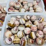 Dali Jasper Spheres Ball Wholesale 2-3.2in -Wholesale Crystals