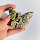 Gold Sheen Obsidian Butterfly Skull Carving Wholesale -Wholesale Crystals