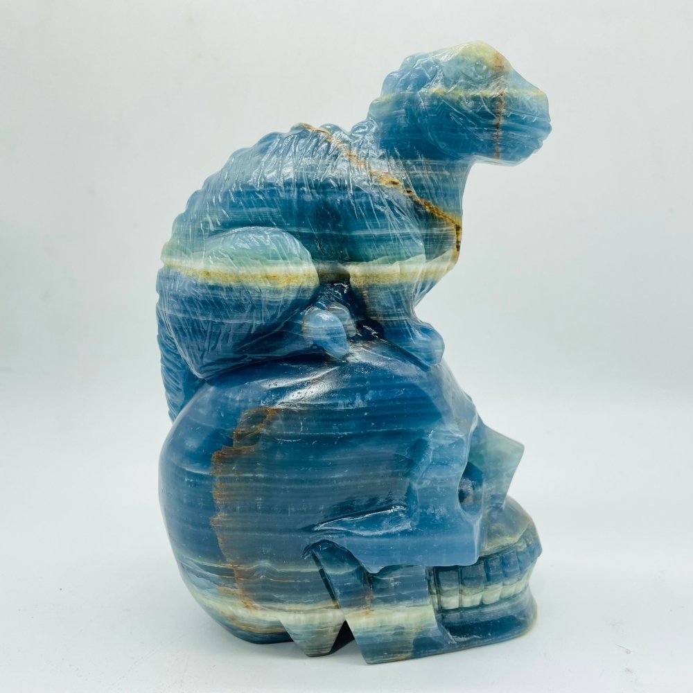 High Quality Blue Onyx Dinosaur Skull Carving -Wholesale Crystals
