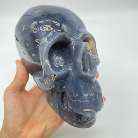 High Quality Geode Druzy Agate Large Skull -Wholesale Crystals