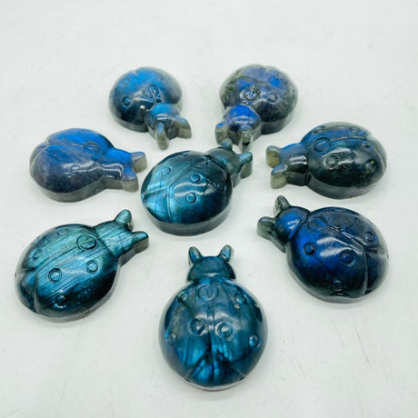 High Quality Labradorite Ladybug Carving Wholesale -Wholesale Crystals
