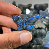 High Quality Labradorite Stone Butterfly Carving Wholesale -Wholesale Crystals