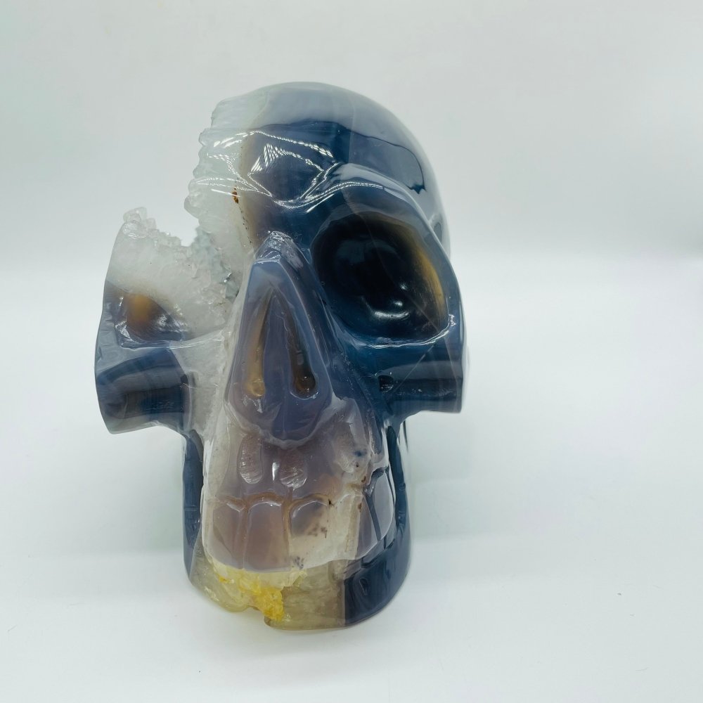 Large Geode Druzy Agate Skull -Wholesale Crystals