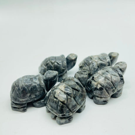 Larvikite Tortoise Carving Animals Wholesale -Wholesale Crystals