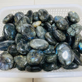Normal Quality Labradorite Palm Closeout -Wholesale Crystals