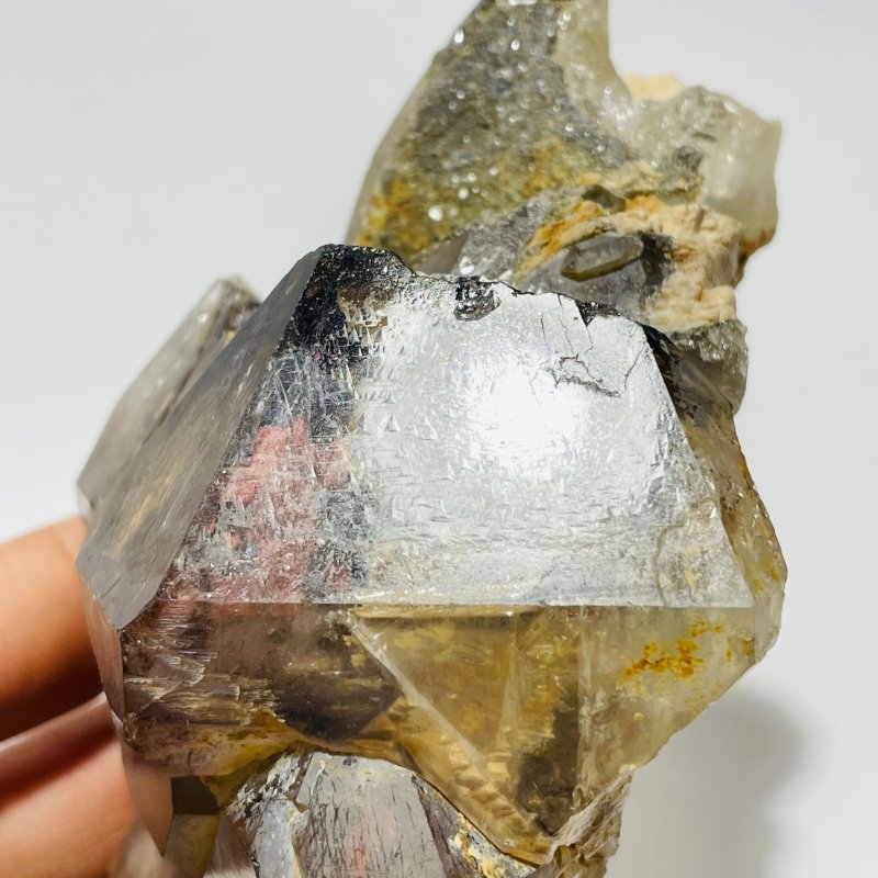 Record Keeper Enhydro Smoky Quartz Backbone Healing Energy Crystal -Wholesale Crystals