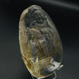 Rutile Quartz Guanyin Quan Yin -Wholesale Crystals