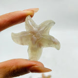 Sakura Flower Agate Starfish Carving Wholesale -Wholesale Crystals