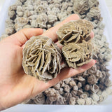 Small Desert Rose Raw Wholesale -Wholesale Crystals