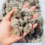 Small Desert Rose Raw Wholesale -Wholesale Crystals